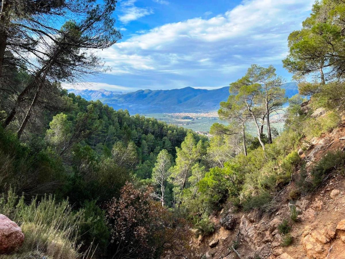 Casa Rural Puente Del Segura Elche de la Sierra Esterno foto