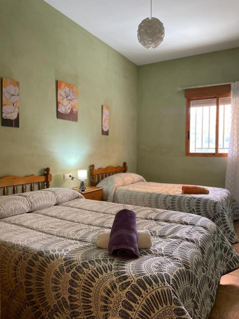 Casa Rural Puente Del Segura Elche de la Sierra Esterno foto