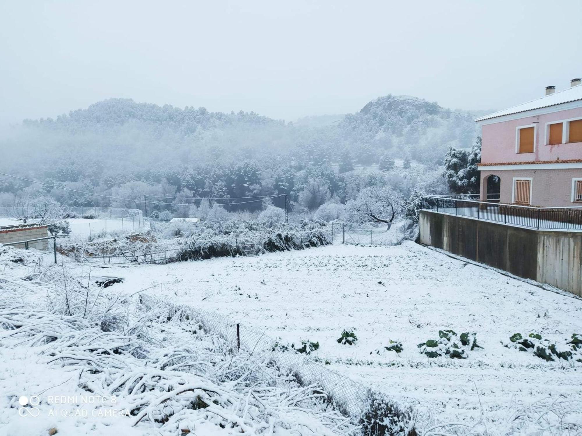 Casa Rural Puente Del Segura Elche de la Sierra Esterno foto