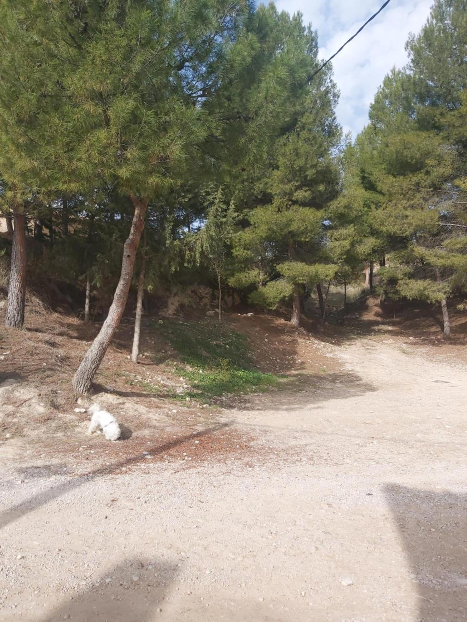 Casa Rural Puente Del Segura Elche de la Sierra Esterno foto