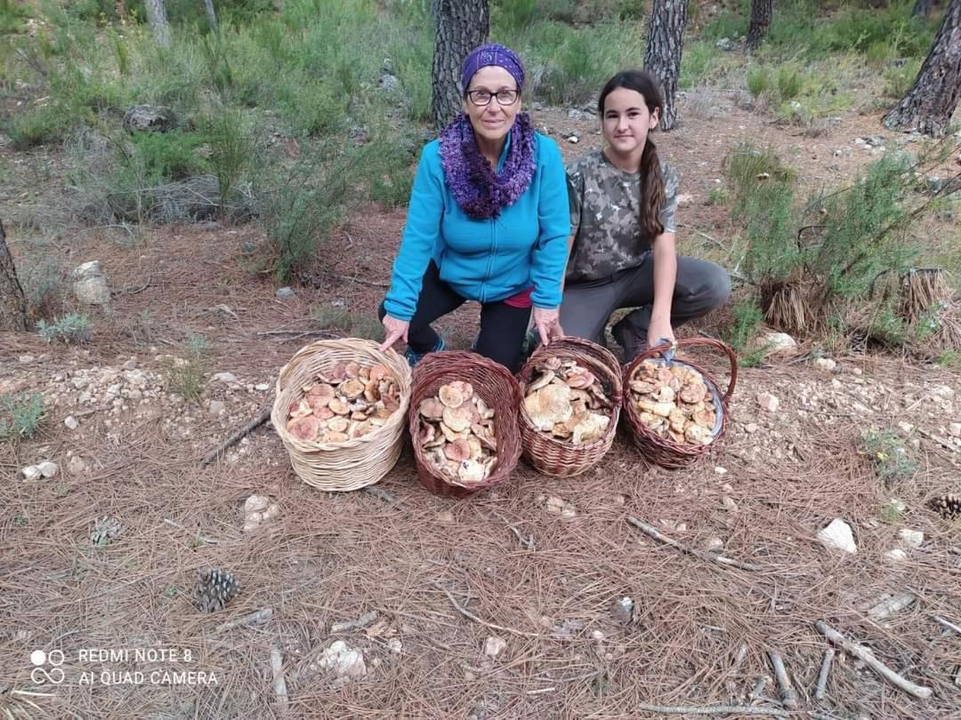 Casa Rural Puente Del Segura Elche de la Sierra Esterno foto